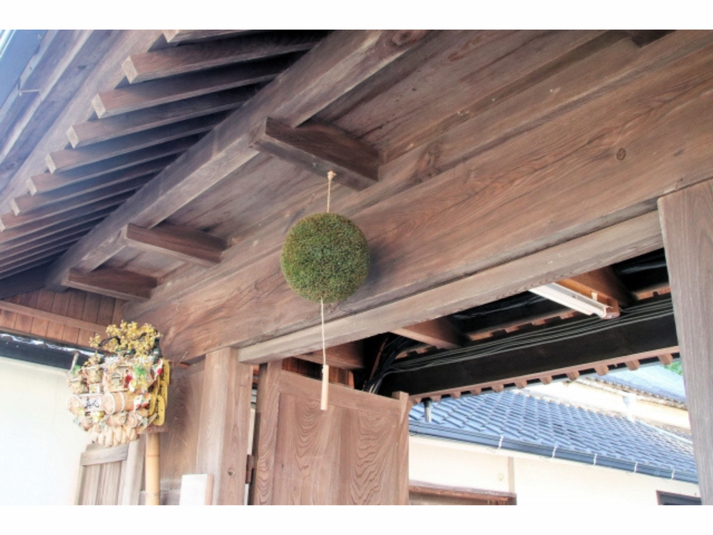 杉玉ってなに？～日本酒のおいしい飲み頃をお知らせします