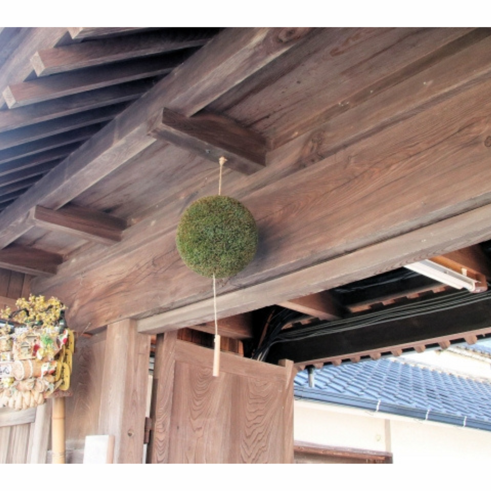 杉玉ってなに？～日本酒のおいしい飲み頃をお知らせします