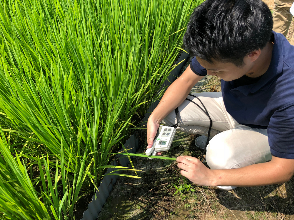 酒米研究会について