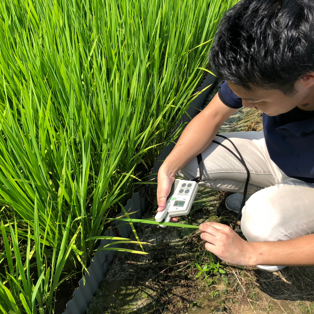 酒米研究会について
