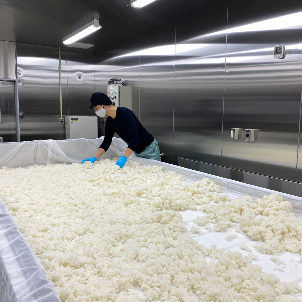 日本酒のつくり方（製造工程）について