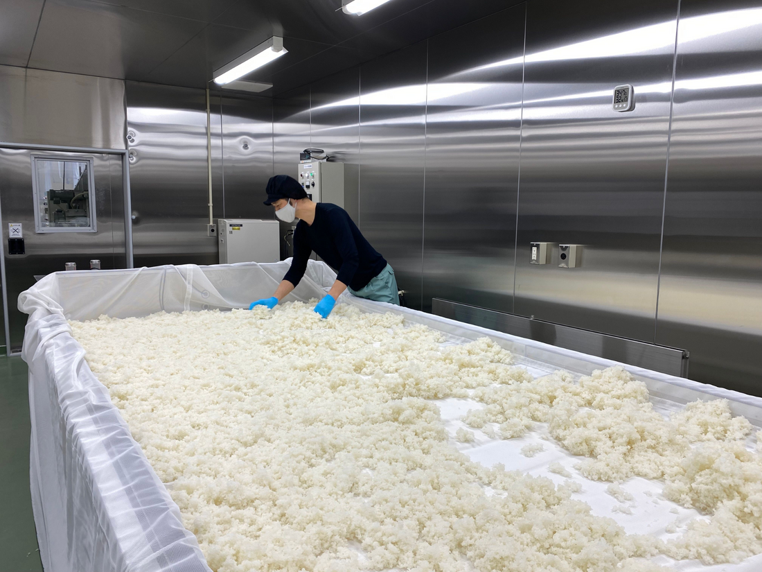 日本酒の製造工程（精米から瓶詰まで）