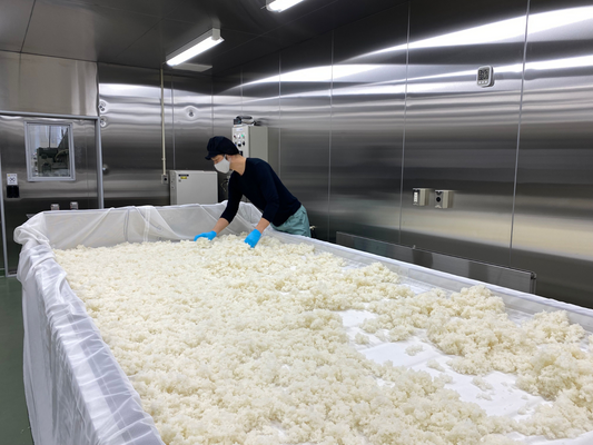 日本酒の製造工程（精米から瓶詰まで）